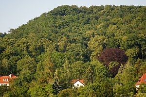 Ruhige Lage und Blick ins Grüne